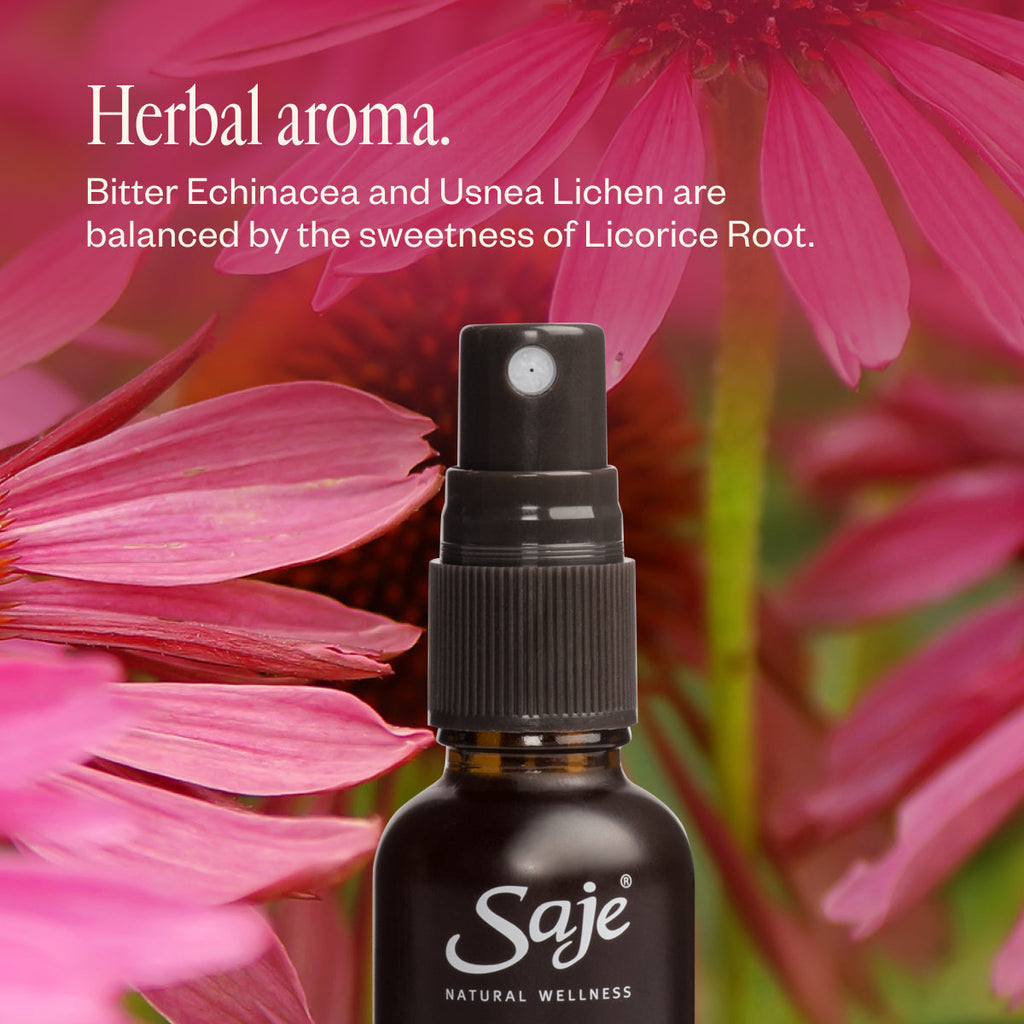 Echinacea