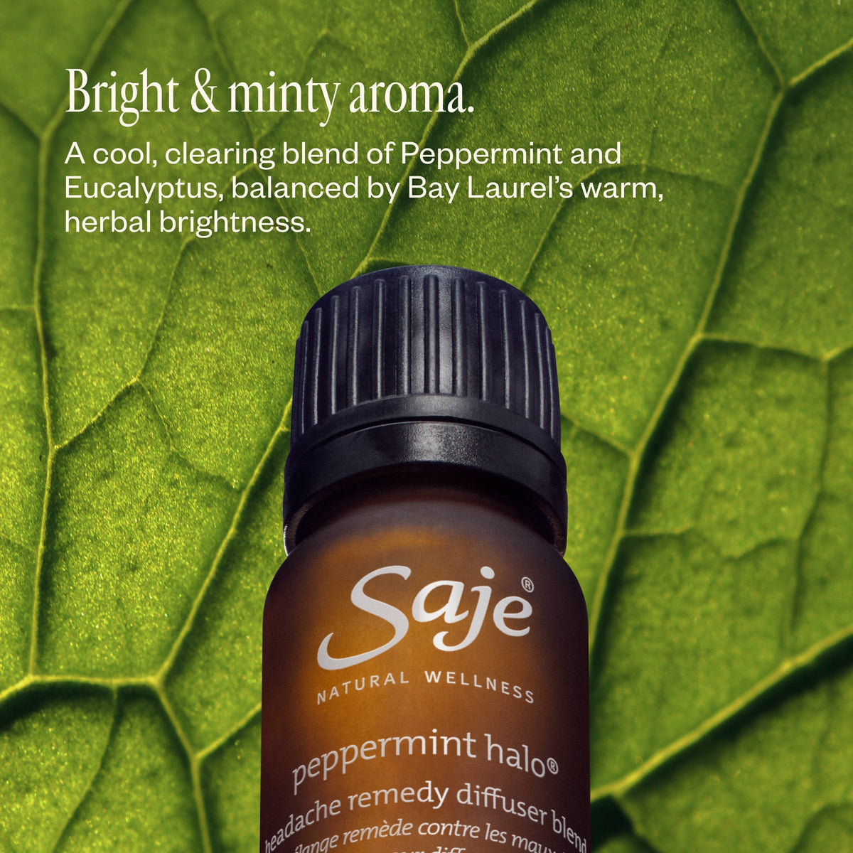 Peppermint Halo Ritual