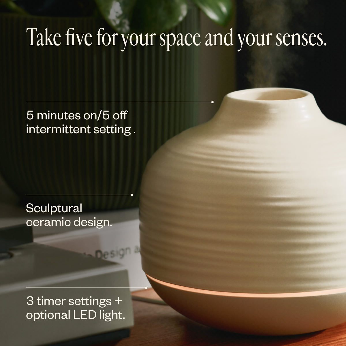 Aroma Cocoon | Sandstone