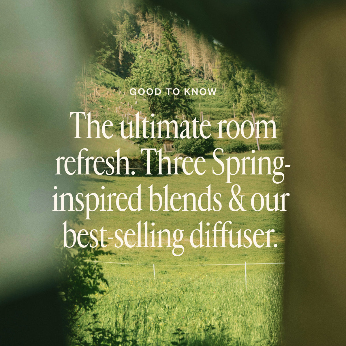 Spring Refresh Diffuser Bundle